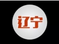 【重磅】40個項目679MW獲遼寧并網指標，另94MW的6個項目未納入