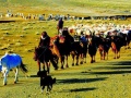 新疆新能源再調(diào)整 布局分布式光伏和分散式風(fēng)電