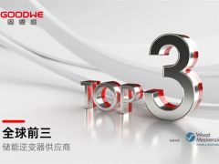 TOP3！固德威儲(chǔ)能逆變器“威”領(lǐng)全球