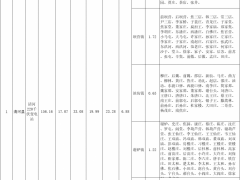 河北清河縣：分布式光伏可開(kāi)放容量?jī)H剩6.88MW