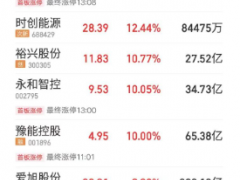 光伏大爆發(fā) 原因找到了！