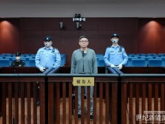 國家電投李海瑜受賄案一審宣判