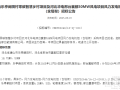 華電68.75MW風(fēng)電項目機(jī)組招標(biāo)
