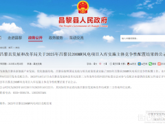 國家電投中選！200MW風(fēng)電項目入庫實施主體競配結(jié)果公示