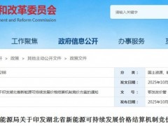 湖北下發(fā)機(jī)制電價(jià)競(jìng)價(jià)方案！